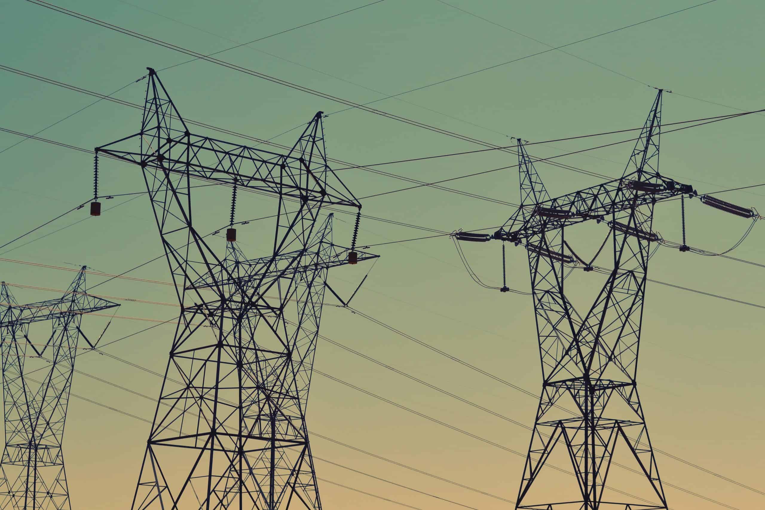 EnergyNest Interview in ees International