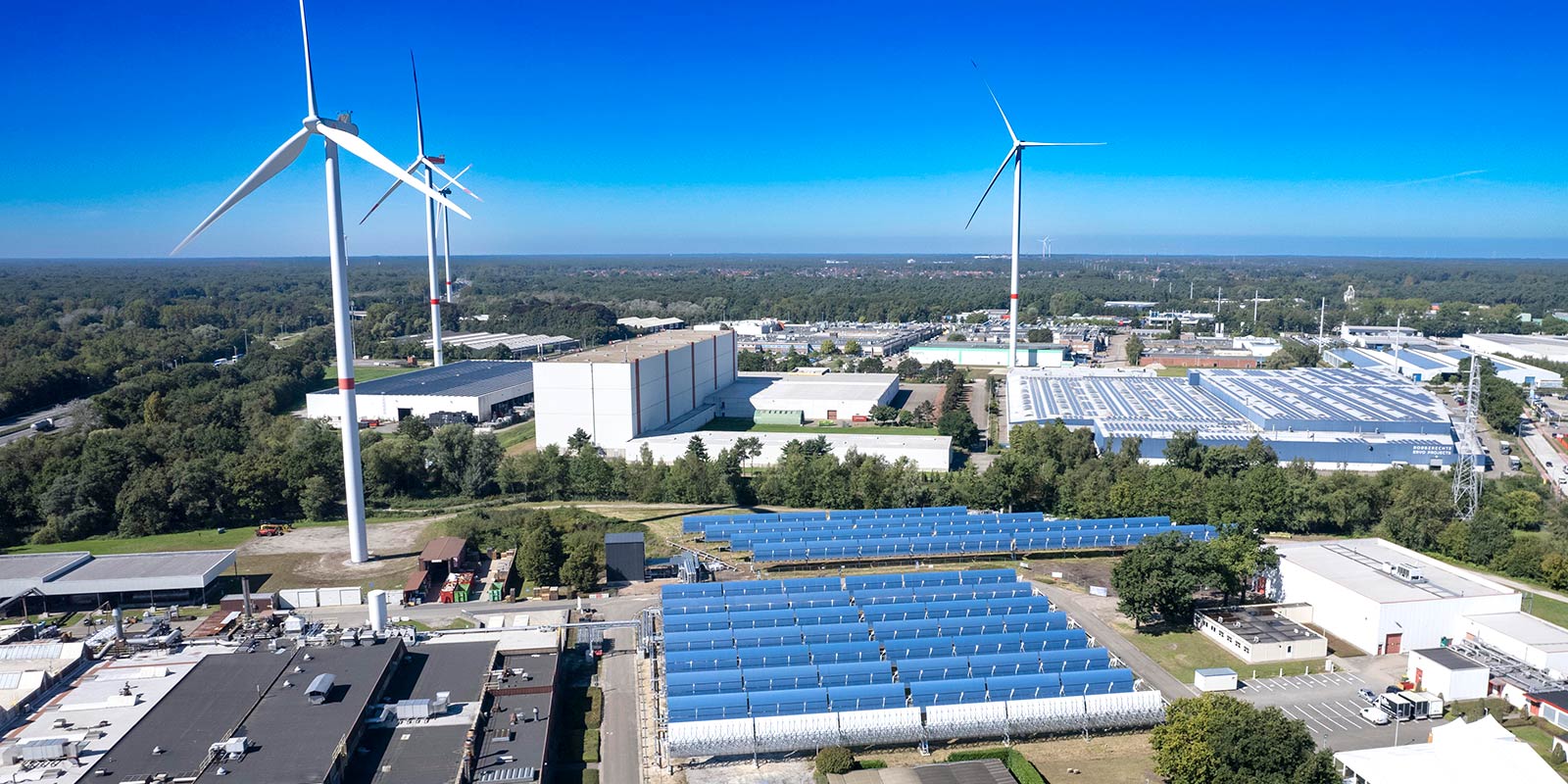 energy-nest-avery-dennison-sky