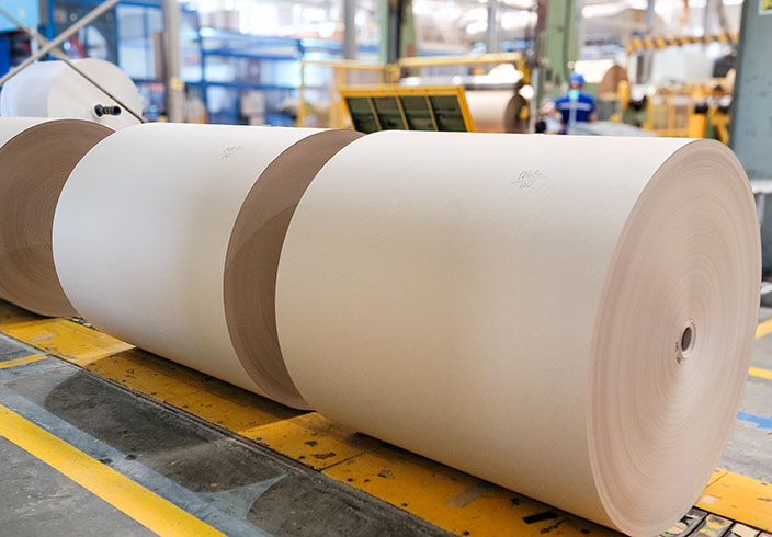 Nachhaltigkeit in der Papierindustrie